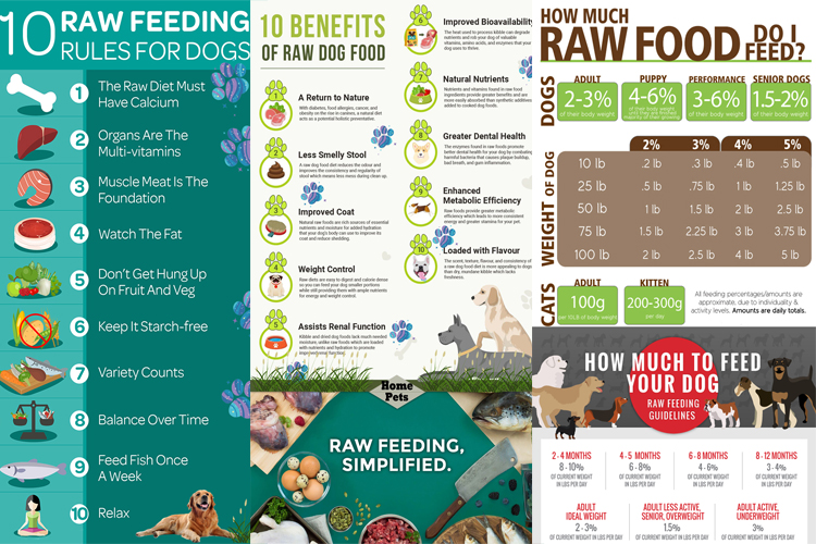 Honden Raw Food Dieet voor beginners