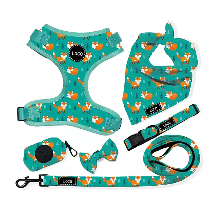 Verstelbare Safety No Pull Dog Harness en Leash Set