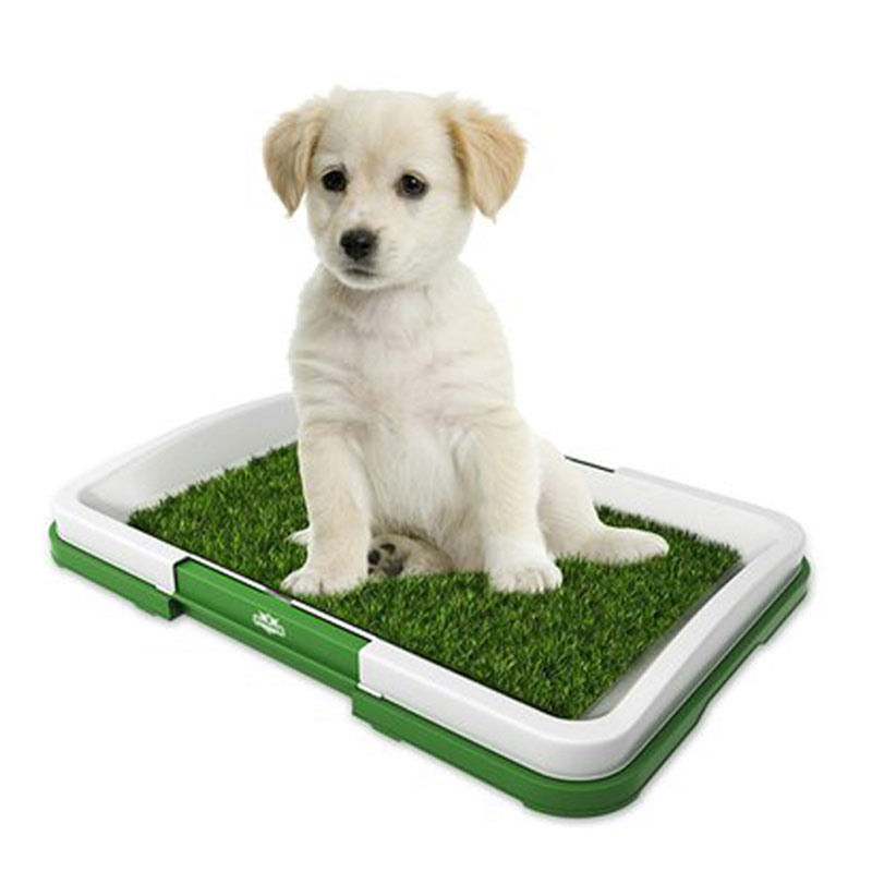 Grass Mat Indoor Pet Potty Tray