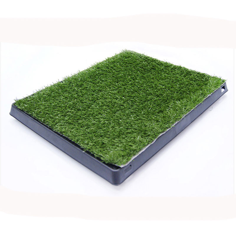 Indoor Pet Potty Dog Grass Pad met dienblad