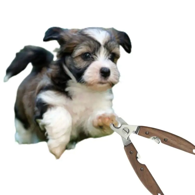 Pet Nail Grooming Tool: Guide voor het kiezen van de beste Pet Nail Clipper